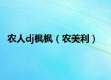农人dj枫枫（农美利）