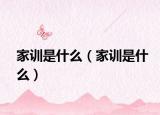 家训是什么（家训是什么）