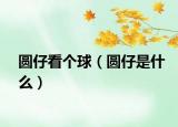 圆仔看个球（圆仔是什么）