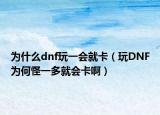 为什么dnf玩一会就卡（玩DNF为何怪一多就会卡啊）