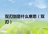 双刃剑是什么意思（双刃）