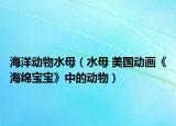 海洋动物水母（水母 美国动画《海绵宝宝》中的动物）