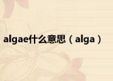 algae什么意思（alga）