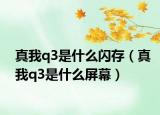 真我q3是什么闪存（真我q3是什么屏幕）