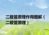 二极管原理作用图解（二极管原理）