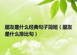 朋友是什么经典句子简短（朋友是什么排比句）