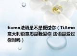 tiamo法语是不是爱过你（TiAmo意大利语意思是我爱你 法语是爱过你对吗）