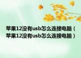 苹果12没有usb怎么连接电脑（苹果12没有usb怎么连接电脑）