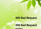 <html>
<head><title>400 Bad Request<title><head>
<body>
<center><h1>400 Bad Request<h1><center>
<hr><center>nginx<center>
<body>
<html>
