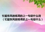 忙趁东风放纸鸢的上一句是什么诗（忙趁东风放纸鸢的上一句是什么）