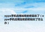 oppo手机应用加密的密码忘了（oppo手机应用加密的密码忘了怎么办）
