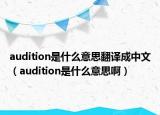 audition是什么意思翻译成中文（audition是什么意思啊）