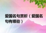 爱国名句赏析（爱国名句有哪些）
