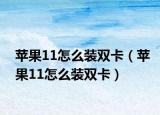 苹果11怎么装双卡（苹果11怎么装双卡）