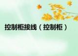 控制柜接线（控制柜）