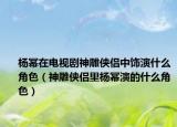 杨幂在电视剧神雕侠侣中饰演什么角色（神雕侠侣里杨幂演的什么角色）
