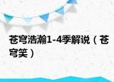苍穹浩瀚1-4季解说（苍穹笑）