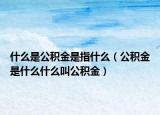 什么是公积金是指什么（公积金是什么什么叫公积金）