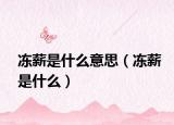 冻薪是什么意思（冻薪是什么）