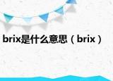 brix是什么意思（brix）