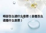 嘚瑟怎么读什么意思（瑟是怎么读是什么意思）
