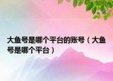 大鱼号是哪个平台的账号（大鱼号是哪个平台）