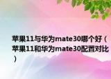 苹果11与华为mate30哪个好（苹果11和华为mate30配置对比）