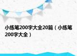 小练笔200字大全20篇（小练笔200字大全）