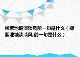 柳絮池塘淡淡风前一句是什么（柳絮池塘淡淡风,前一句是什么）