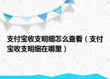 支付宝收支明细怎么查看（支付宝收支明细在哪里）