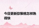 今日更新弥猴桃怎样熟得快