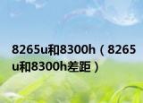 8265u和8300h（8265u和8300h差距）
