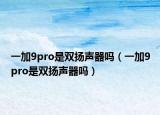 一加9pro是双扬声器吗（一加9pro是双扬声器吗）