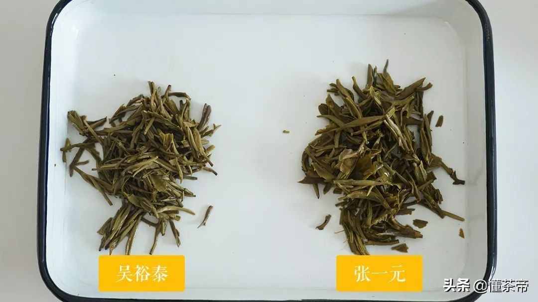 巨头PK，张一元VS吴裕泰茉莉花茶客观测评，谁更胜一筹？