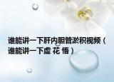 谁能讲一下肝内胆管淤积视频（谁能讲一下虚 花 悟）