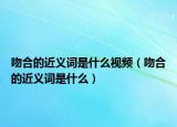 吻合的近义词是什么视频（吻合的近义词是什么）