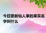 今日更新仙人掌的果实名字叫什么