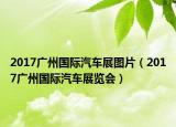 2017广州国际汽车展图片（2017广州国际汽车展览会）