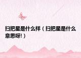 扫把星是什么样（扫把星是什么意思呀!）