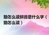 勖怎么读拼音是什么字（勖怎么读）