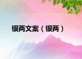 银两文案（银两）