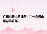 广州白云山足球队（广州白云山足球俱乐部）