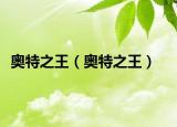 奥特之王（奥特之王）