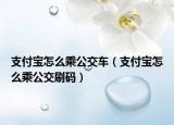支付宝怎么乘公交车（支付宝怎么乘公交刷码）