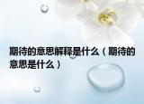 期待的意思解释是什么（期待的意思是什么）
