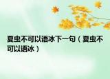 夏虫不可以语冰下一句（夏虫不可以语冰）