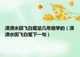 漠漠水田飞白鹭是几年级学的（漠漠水田飞白鹭下一句）