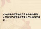 山东省生产经营单位安全生产主体责任（山东省生产经营单位安全生产主体责任规定）