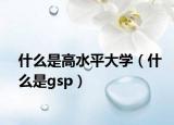 什么是高水平大学（什么是gsp）
