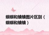 蝈蝈和蛐蛐图片区别（蝈蝈和蛐蛐）